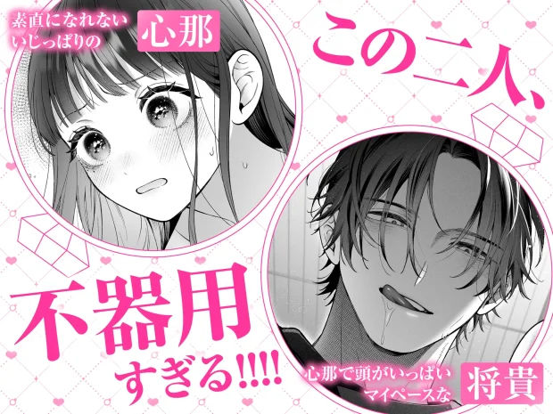 続・会いに行った裏アカ男子が大嫌いな婚約者で詰んだ。